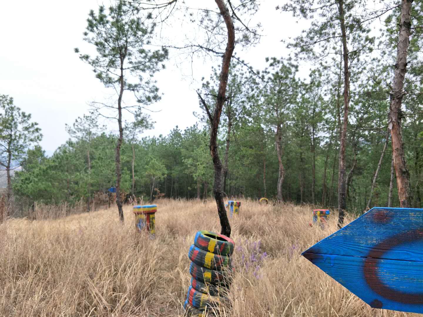 罗田县真人cs野战