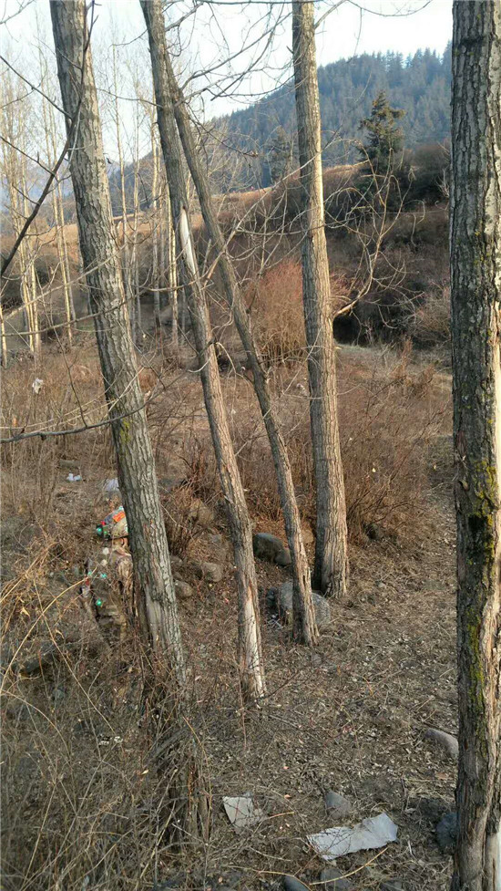 乐都真人cs基地