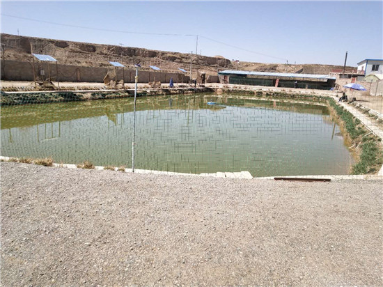 定西真人cs基地