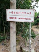 会昌花溪谷牛樟种植和深加工基地