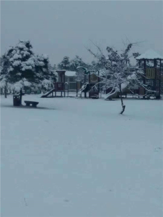 东海森林温泉4