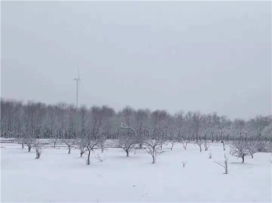 东海森林温泉2
