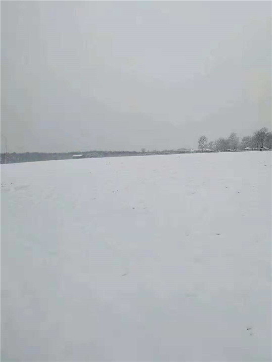 东海森林温泉5
