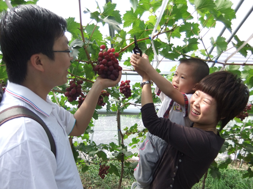 鱼台亲子采摘园