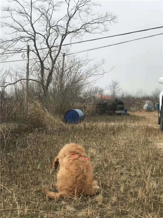 广水周边玩的地方