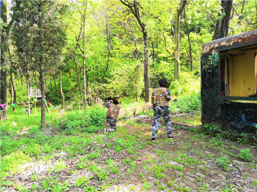 磐安团队拓展训练,磐安公司训练营,磐安户外拓展训练