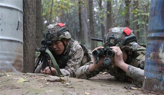 弥渡培训拓展公司,弥渡集训拓展公司,弥渡青少年户外拓展机构