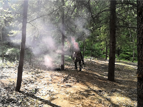 弥渡培训拓展公司,弥渡集训拓展公司,弥渡青少年户外拓展机构