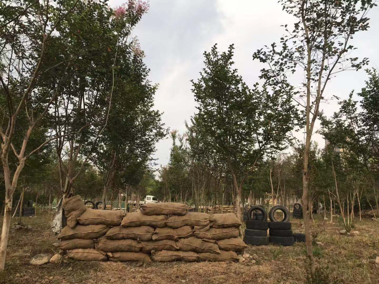 来凤拓展培训基地