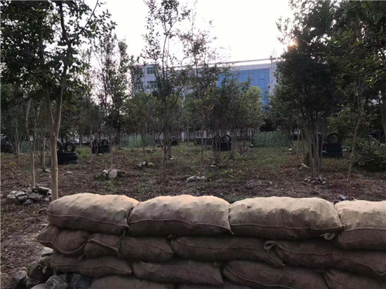 来凤拓展培训基地