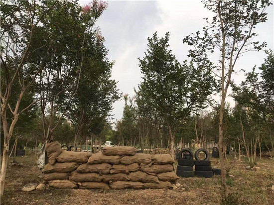 来凤拓展培训基地