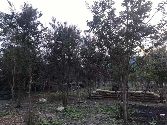 来凤拓展培训基地