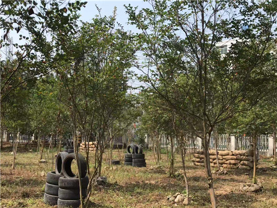 来凤户外拓展训练