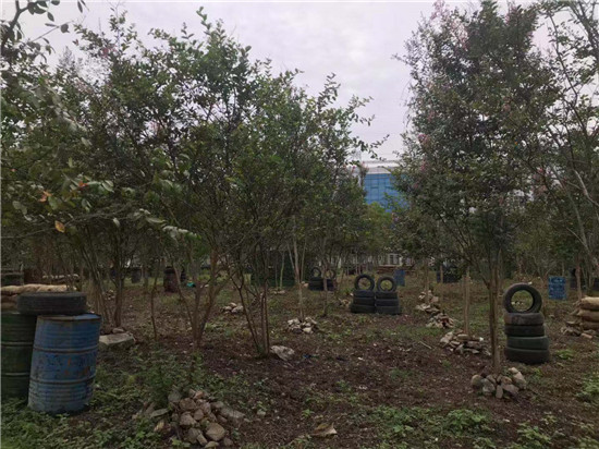 太原企业团建活动