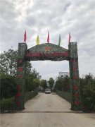 来凤真人cs基地