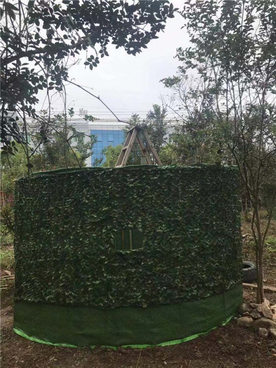 来凤真人cs基地