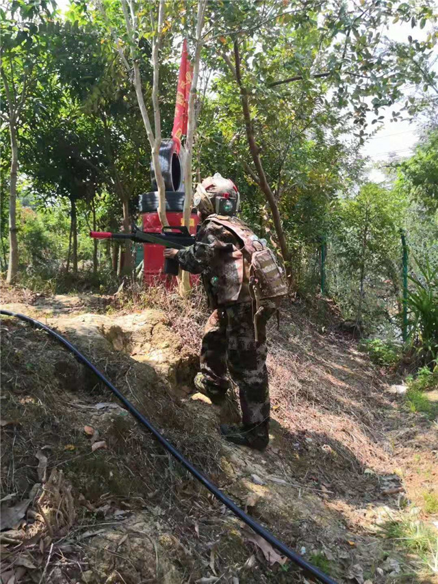 来凤团队拓展训练,来凤素质拓展训练,来凤学生拓展活动