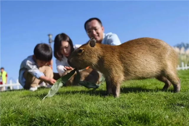 北京萌宠乐园