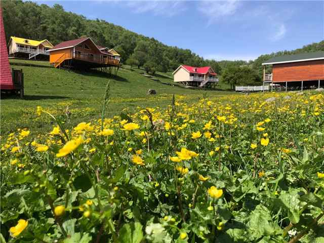 关山牧场